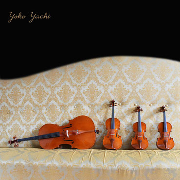 Handmade quartetto in Cremona by Yoko Yachi