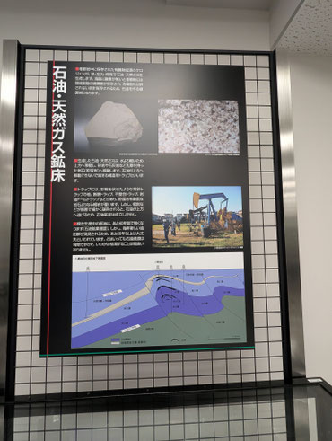 秋田大学鉱業博物館