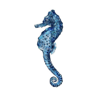 scientific illustration art watercolour painting Great Seahorse (Hippocampus kelloggi)
