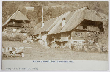 Schwarzwälder Bauernhaus, J. K. Berberich, Triberg 28.03.1902