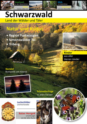 Matthias Hüttlin: Schwarzwald, Land der Wälder und Täler