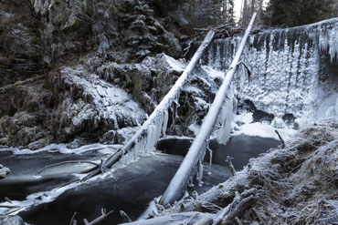 Bei -11 Grad ist die Wuchtach stark vereist. Das Foto zeigt die vereiste Staumauer der Wutach für das Wasserkraftwerk. An der Staumauer liegen zwei umgefallene Baumstäme an und geben den Eiszapfen Platz zum wachsen.