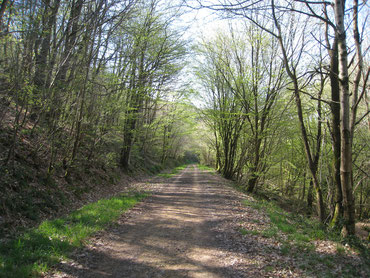 Retour par la Voie Verte, ancienne voie ferrée du Réseau Breton