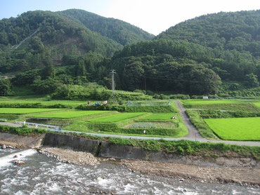 里山の風景