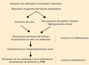 Patogenia del acne