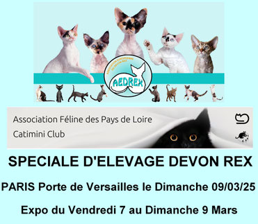 Les résultats et photos sur la page Expositions et sous-rubrique Spéciale 2025