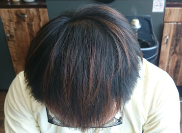 薄毛克服体験記ブログ8月18日の店長の頭頂部写真