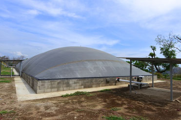 Biodigestores para gallinaza pura