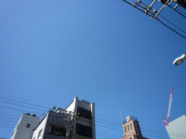 台風一過画像