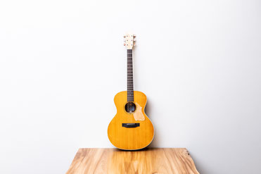 VL-30 Blues - VINCENT - guitar & others - VL-30 Blues - VINCENT - guitar & others -
