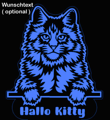 Main Coon Katze "Kitty" Katzen Geburtstag Kind Geschenk 3d LED Lampe led Light led lights Tiergeschenk Tiergeschenke