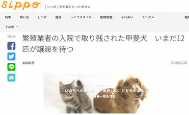 10/28　ペット情報サイトＳｉｐｐｏ（リンクあり）