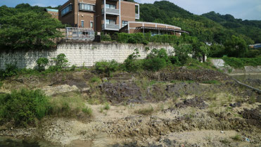 富田林