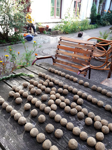 Blumenkugeln liegen zum trocknen in der Sonne auf einem Gartentisch. Studiolaube, Seedbombs, Seedballs, Garten