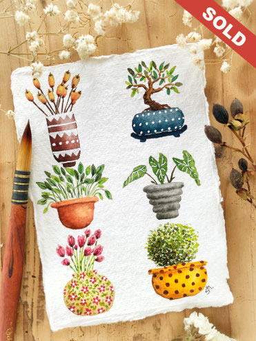 "Potted plants"  CHF 59.00