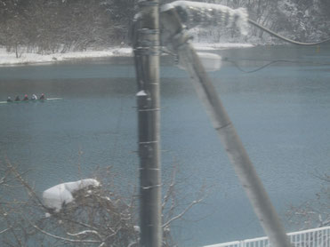 吹雪の阿賀川で漕艇練習中!