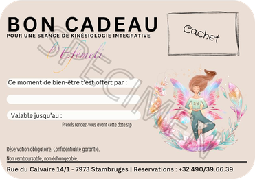 kinésiologie intégrative - chèque cadeau kinésiologie - stambruges - Efémeli