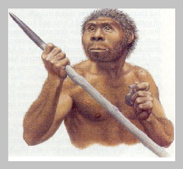 Homo Erectus avec son bâton vers 400.000 avant JC