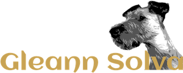 Gleann Solva, Irish Terrier, Österreich, Tilda of the Hunterriers