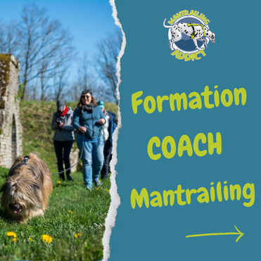 Formation Mantrailing