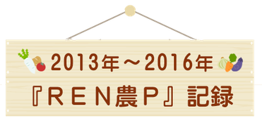 2013年～2016年　『REN農P』記録