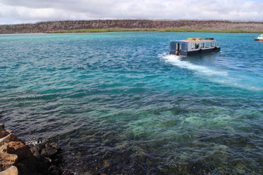 Bye bye...les Galapagos !