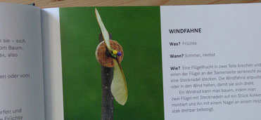 Windfahne aus Naturmaterial