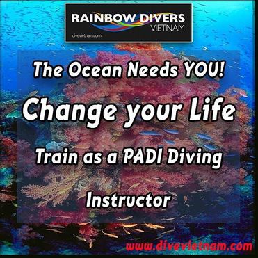 Dive with Rainbow Divers
