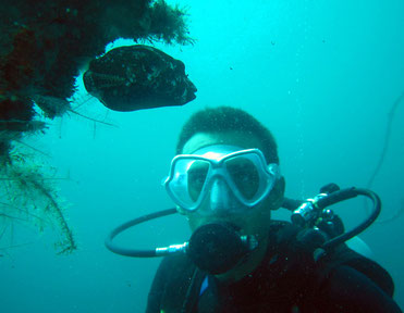 Alex Harker diving with some cool fish