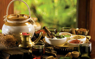 Lehrgang mit dem Ayurveda-Arzt Dr. Arun Gopinath Menon aus Indien