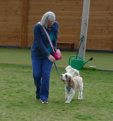 Privé training hond