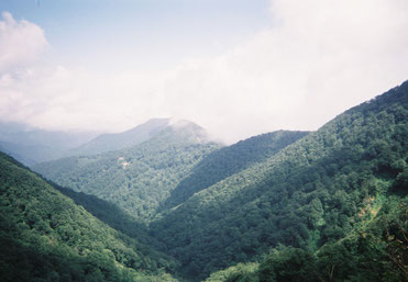 県境付近の面白山高原（ここも山形市内です）