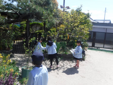 「これは‥ドイツすずらん!?」