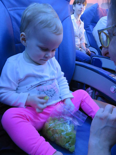 Baby flight travel