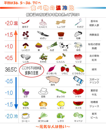 食べ物の温冷比イラスト