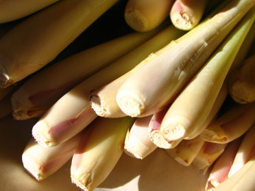 Lemongrass