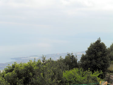 Ausblick