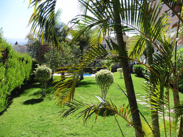 Gemeinschaftsgarten