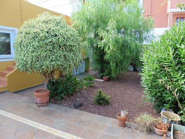 Terrasse und Garten