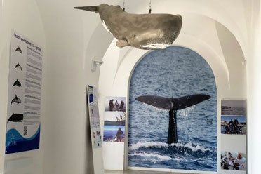 Ingresso del Centro Jonian Dolphin