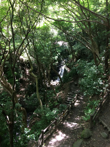 豊浦橋(筆者撮影)