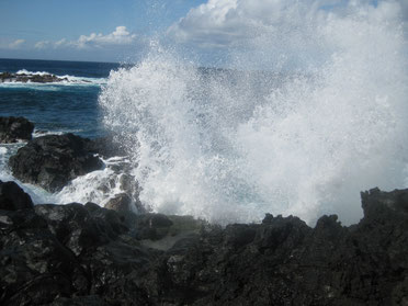 Insel La Reunion Island/Westküste: mächtige Wellen prallen an die Basaltklippen