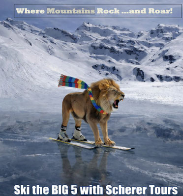 scherertours