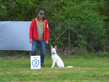 Weisse Schäferhunde Ausstellung 