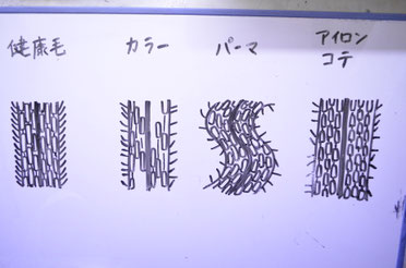 髪の毛の痛みを改善するなら、まずは痛み方を知る事が始めの一歩