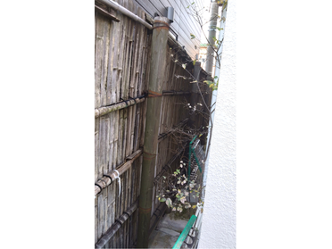 施工前┃古くなった竹垣の画像2