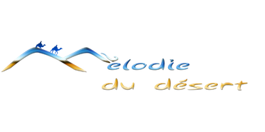 Les musiques du désert