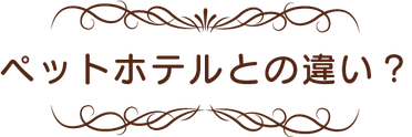 いきものがかり　ペットホテルとの違い