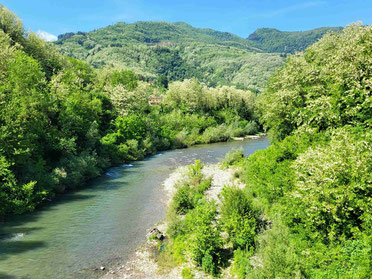 The river Serchio in the Serchio Valley