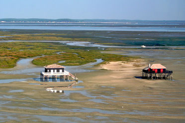 Ile aux oiseaux avec cabanes tchanquées